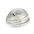 Strip LED SMD5050 10W/m 5m 60 LED/m 24V 4000K IP65 11.4mm