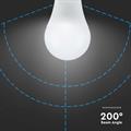 Lampadina LED E27 17W 110LM/W A65 2700K