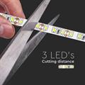 Strip LED SMD3528 8W/m 5m 120 LED/m 12V 6500K IP20 8mm