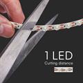 Strip LED SMD2835 16.5W/m 5m 24V 6500K IP20 11mm